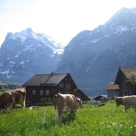 Chalet Bärgblick Grindelwald Exteriör bild