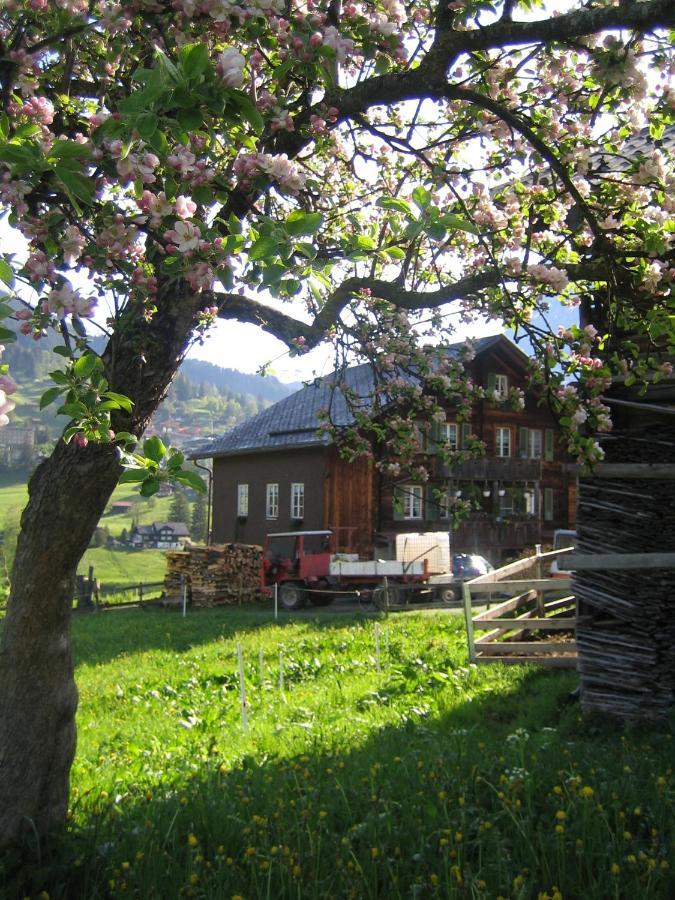 Chalet Bärgblick Grindelwald Exteriör bild