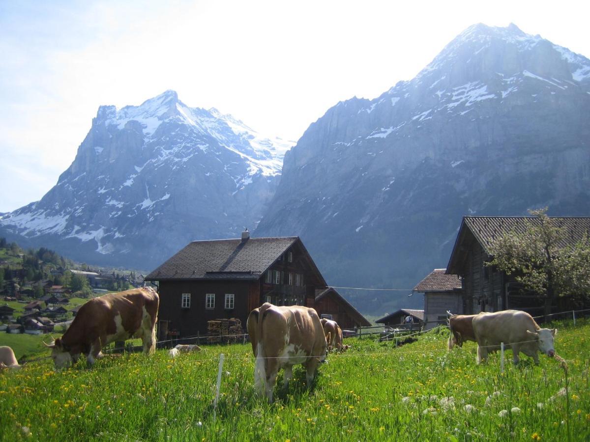 Chalet Bärgblick Grindelwald Exteriör bild