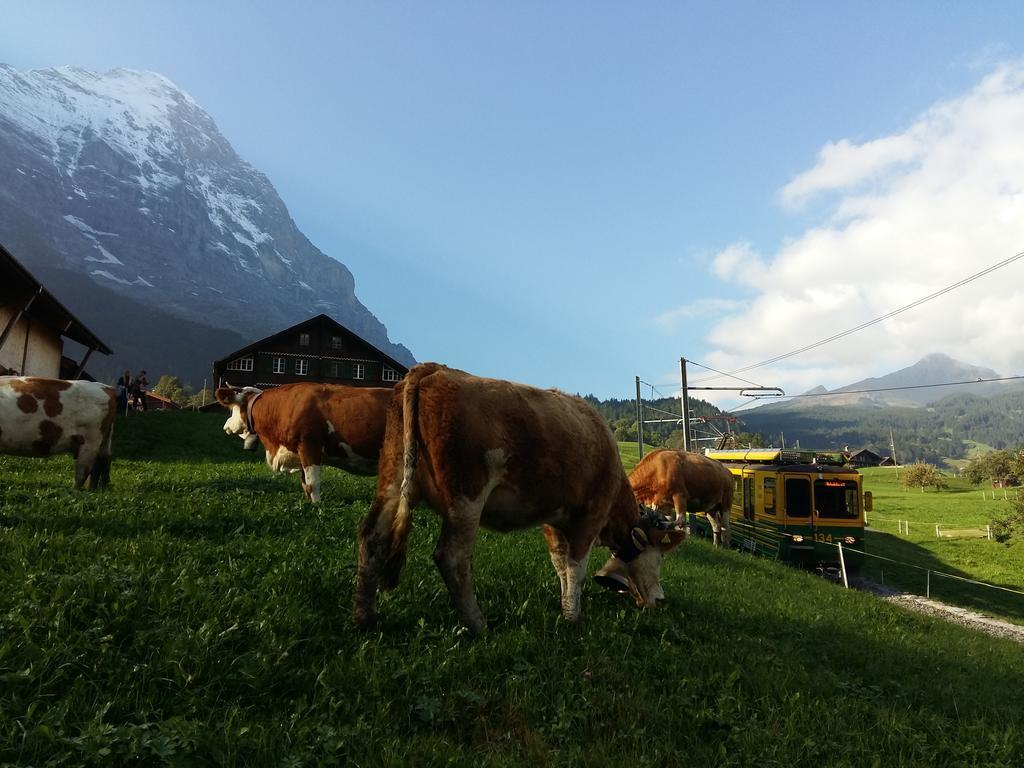 Chalet Bärgblick Grindelwald Exteriör bild